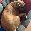 Sugardaddy's server Discord server icon