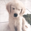 F.P.G Discord server icon