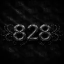 8 2 8
