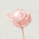 Mina 𐙚 Discord server icon