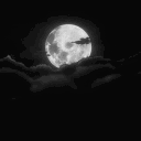 Noir Society Discord server icon