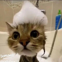 THE FOREVER WORLD Discord server icon