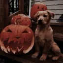 𓂃 . 𐑞  𝐒𝐨𝐟𝐭𝐥𝐲 𝐛𝐨𝐮𝐧𝐝 ︶ discord icon