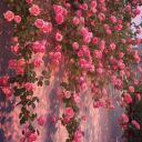 🌸˚₊‧꒰ა 𝓒𝓱𝓮𝓻𝓻𝔂 𝓟𝓪𝓻𝓪𝓭𝓲𝓼𝓮 ໒꒱ ‧₊˚🌸