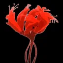 Sad Die Empty — Дискорд Сервер