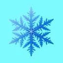 Snow Tag