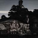 Wilde Times