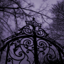 Shadow Haven [18+]