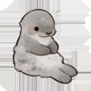🦭 seal psys . . .