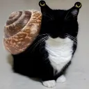 Server with real potential
