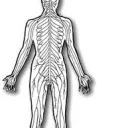 NSFW Trading and Sharing 18+ discord icon