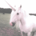 unicorn Discord server icon