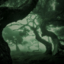 𝙂𝙤𝙞𝙗𝙚𝙧𝙨 𝙞𝙣 𝙩𝙝𝙚 𝙂𝙧𝙤𝙫𝙚 Discord server icon