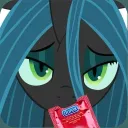 RP/ERP MLP | Equestria Government