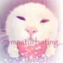 ᯓ★ Random Discord Server ★ᯓ