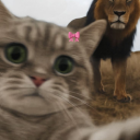 LETS DO HUNT Discord server icon