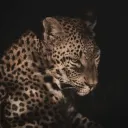 .𝐨𝐮𝐝