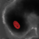 THE MIST OF NIGHT (TMON) ™ Discord server icon