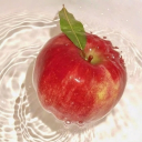 the orchard ★ ᐟ Discord server icon