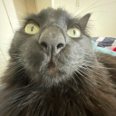 the rejected community Discord server icon