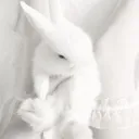.　⟢　the afterlife　　˘