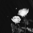 Recovery Café Discord server icon