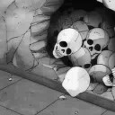 bone