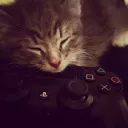 ꜱᴄʀᴇᴀᴍ