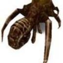 Tremulous revival server
