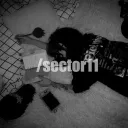 /sector11