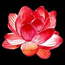 ˚⊱ Sword and Lotus ⊰˚