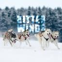 BITTER WINDS … canine roleplay