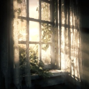 🍯The Honeyblossom Meadow🌸 Discord server icon