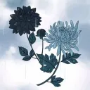 𝗦ONDER  | たわごとを言う