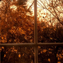 ꒰ 🍂 ꒱ 𝒸𝒾𝓃𝓃𝒶𝓂𝑜𝓃 𓂃☕𓈒𓏸