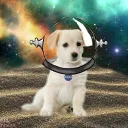 Space Pups