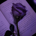 ᢉ𐭩The Systems And More Hotelᢉ𐭩 Discord server icon