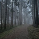 seeks Discord server icon