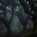 Hispanic server Discord server icon