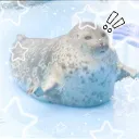 ୨୧⸝⸝﹕Seal Sanctuary , 𐔌🦭🫧𐦯ꞌꞋ