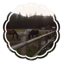 ℧     𝘆𝘂𝗺𝗲   ranch    𓏏    𝘀𝘁𝗼𝘅  s̲f̲w̲ Discord server icon