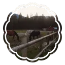 ℧     𝘆𝘂𝗺𝗲   ranch    𓏏    𝘀𝘁𝗼𝘅  s̲f̲w̲