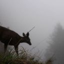 DERELICT FORTRESS ;; ⚠ Discord server icon