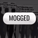 MOGGED