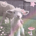 𝕊𝕙𝕒𝕪 𝕨𝕚𝕥𝕙 𝕃𝕠𝕧𝕖 Discord server icon