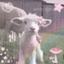 𝕊𝕙𝕒𝕪 𝕨𝕚𝕥𝕙 𝕃𝕠𝕧𝕖 discord icon