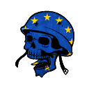 European Tactical Realism