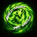 Wild Spirit Pro Wrestling