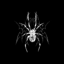 SP1DER Discord server icon