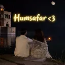 ━━━ ✧･ﾟ Humsafar ･ﾟ✧ ━━━